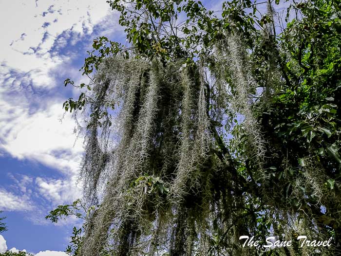 38 camino real barichara P1890736