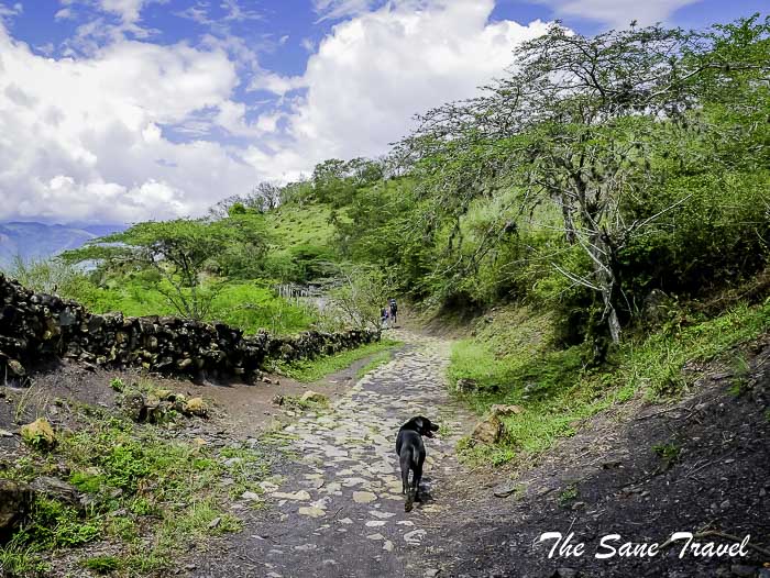 39 camino real barichara P1890740