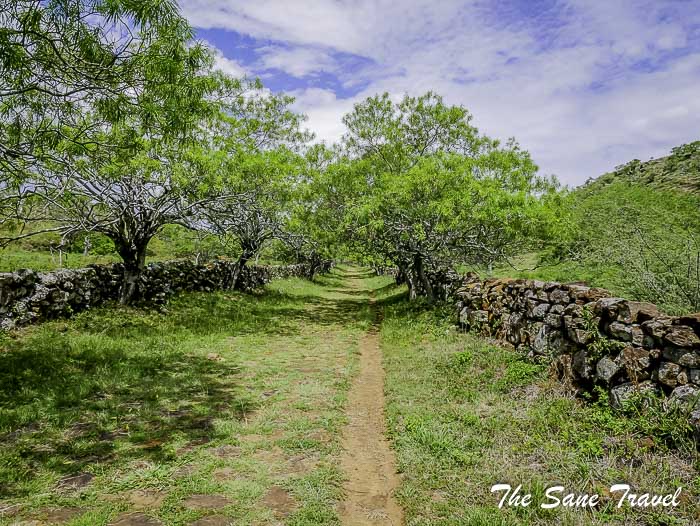 42 camino real barichara P1890765