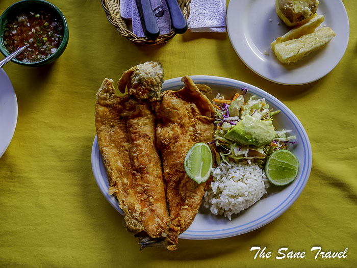 55 camino real barichara P1890832