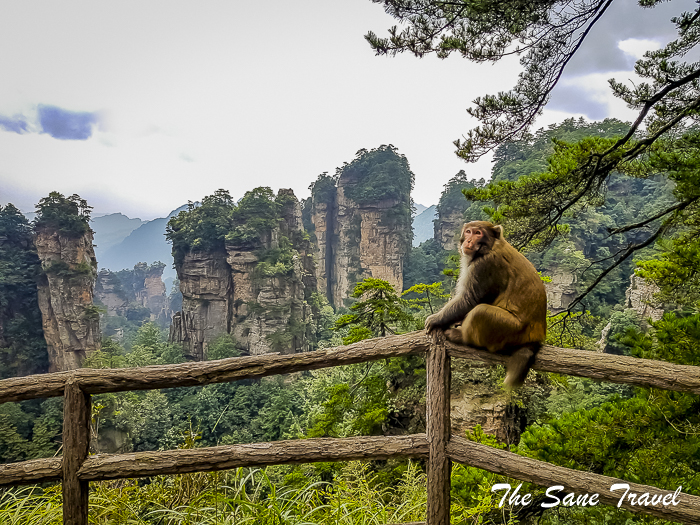 60 avatar mountains thesanetravel.com 124753