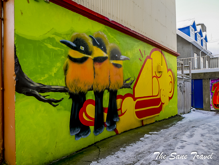 16 colours of reykjavik thesanetravel.com 1350402
