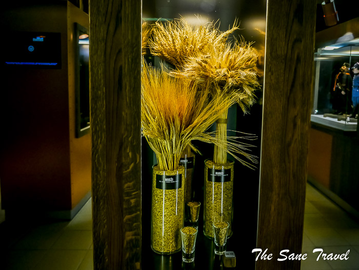 62 shmakovka museum daugavpils thesanetravel.com P1470220