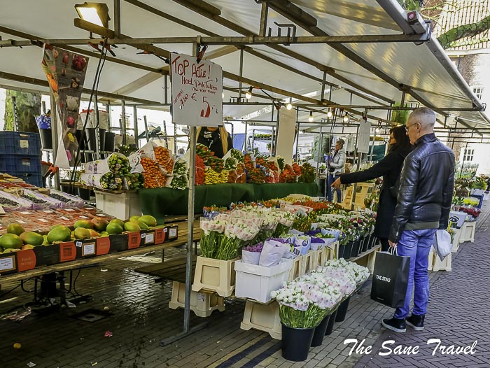 65 delft thesanetravel.com P1940798