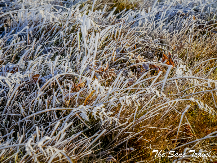 30golden circle iceland thesanetravel.com 1350285