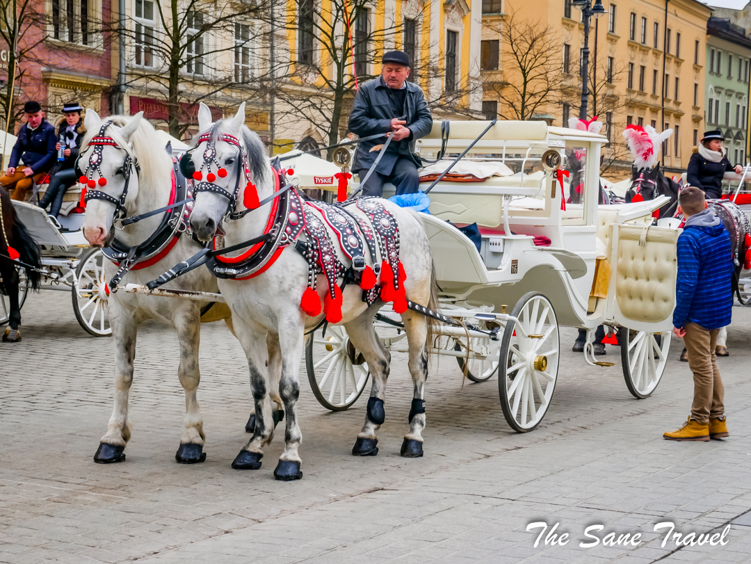krakow white horse carriage