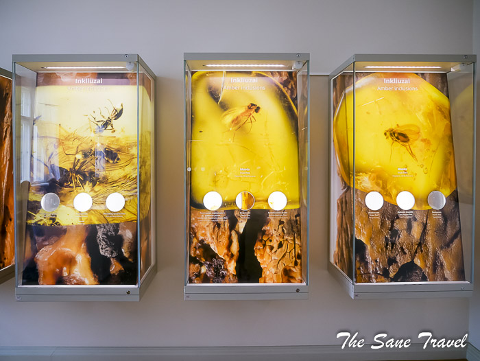 142 palanga manor thesanetravel.com P2040789