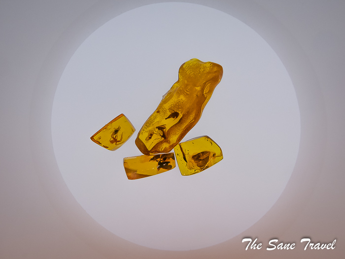 143 palanga manor thesanetravel.com P2040792