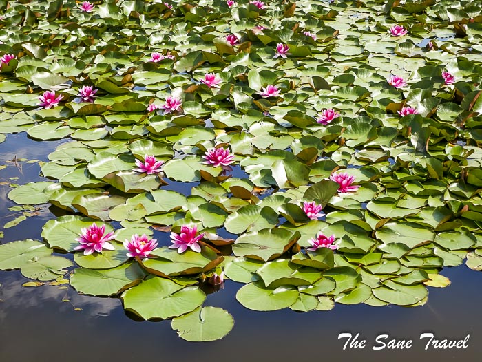 155 oginski manor thesanetravel.com P2040329