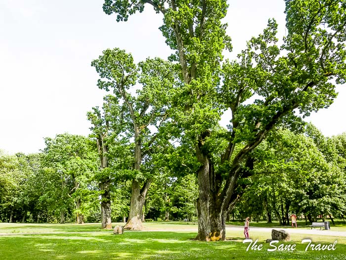 179 kretingas manor thesanetravel.com P2040374