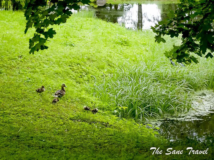 56 baisogala manor thesanetravel.com P2060809