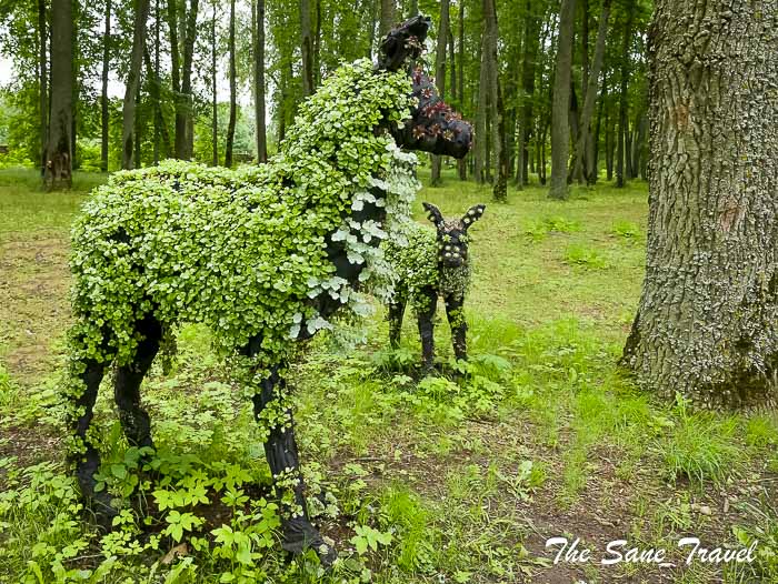 81 pahruoijis manor thesanetravel.com P2030789