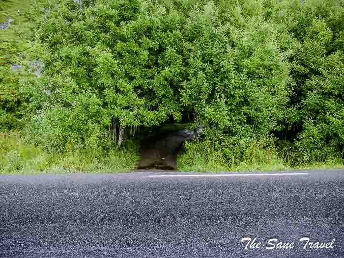 42 day 3 lofoten norway thesanetravel.com P1800032