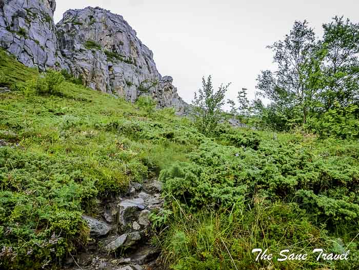 43 day 3 lofoten norway thesanetravel.com P1800018