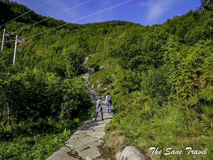 60 day 4 lofoten norway thesanetravel.com P1800271