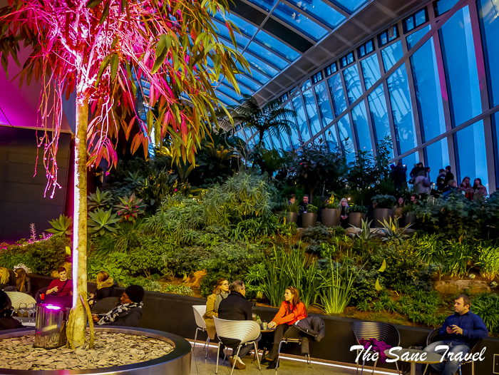 42 sky garden london thesanetravel.com 1370458