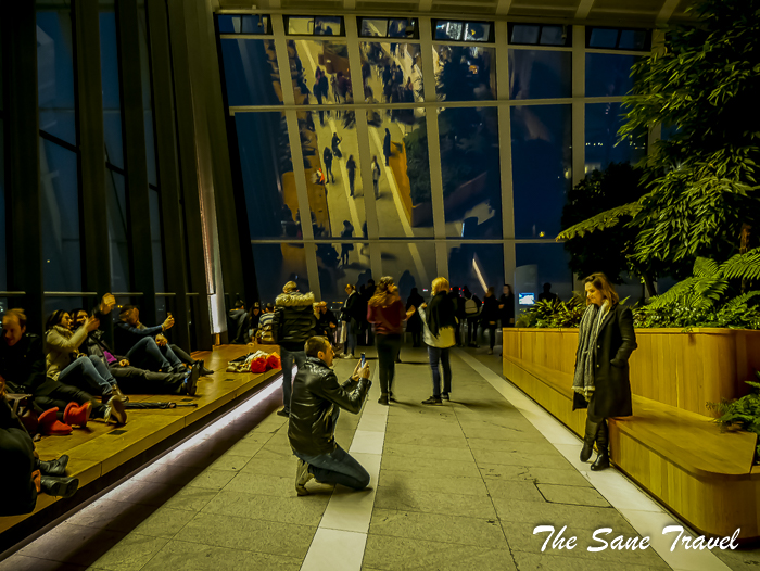 50 sky garden london thesanetravel.com 1370496