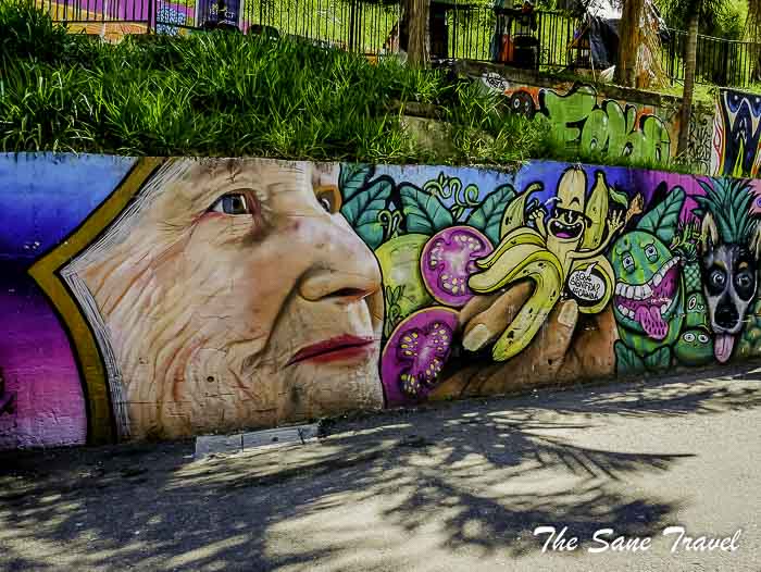 74 medellin colombia thesanetravel.com P1900535