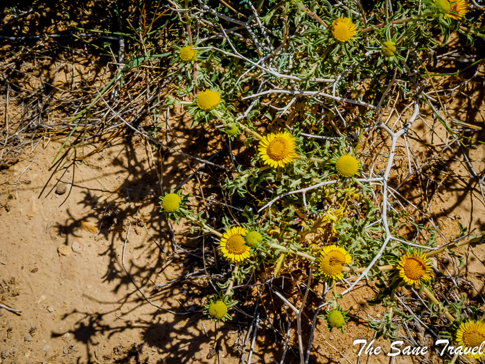 12 mitzpe ramon israel www.thesanetravel.com 1220361