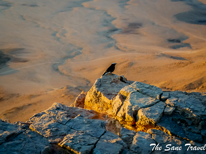 23 mitzpe ramon israel www.thesanetravel.com 1220090