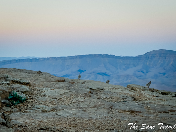 24 mitzpe ramon israel www.thesanetravel.com 1220009