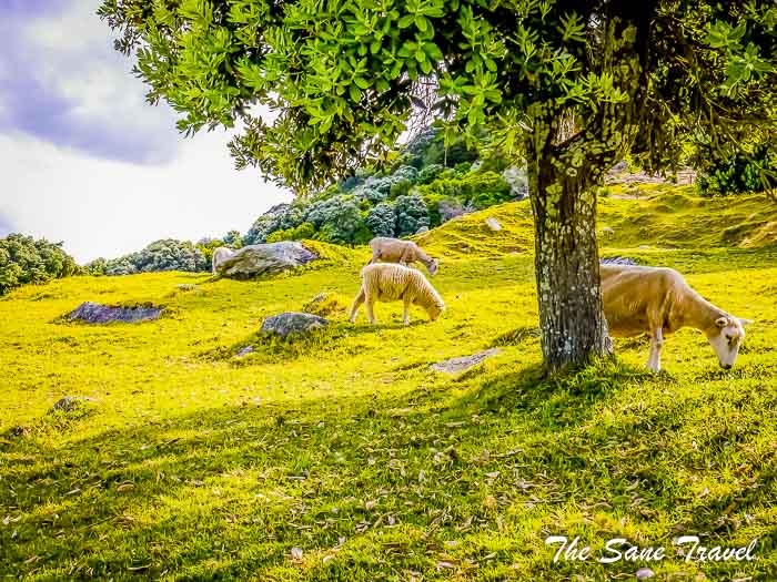 16 tauranga thesanetravel.com P1320292