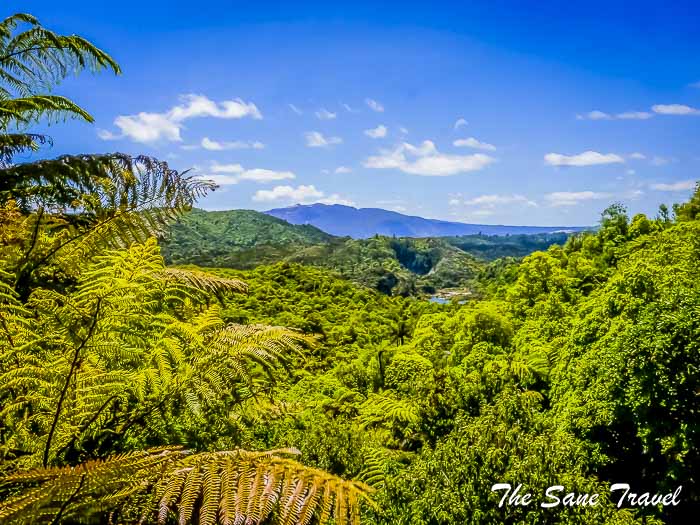 29 day trip from rotorua thesanetravel.com P1330368