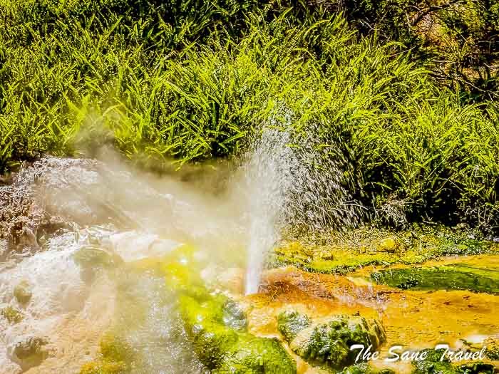 31 day trip from rotorua thesanetravel.com P1330407