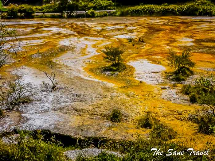 35 day trip from rotorua thesanetravel.com P1330517