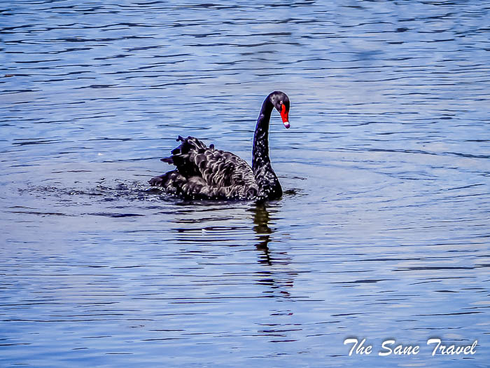 38 day trip from rotorua thesanetravel.com P1330595