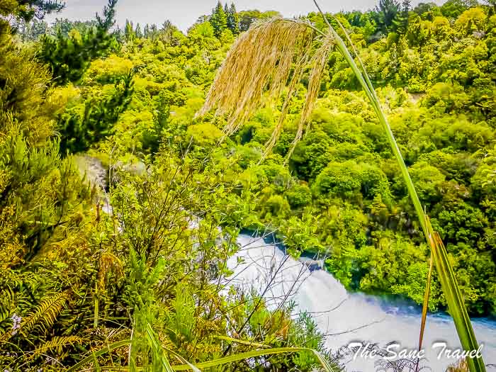 43 taupo thesanetravel.com P1330840