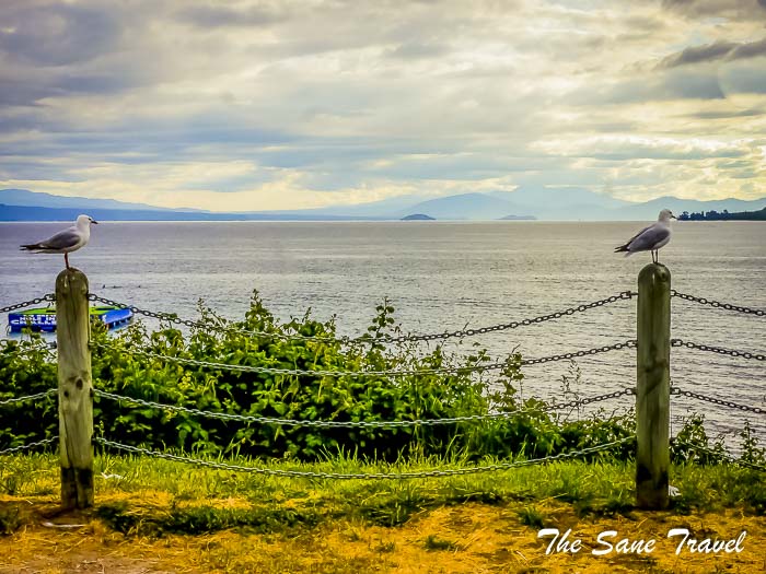 46 taupo thesanetravel.com P1330989