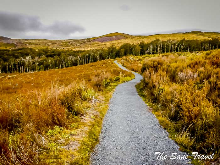 70 whakapapa thesanetravel.com P1340259