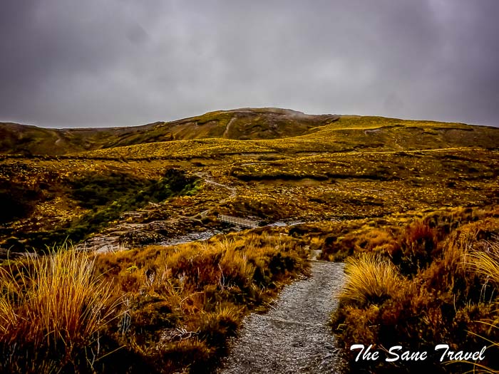74 whakapapa thesanetravel.com P1340313