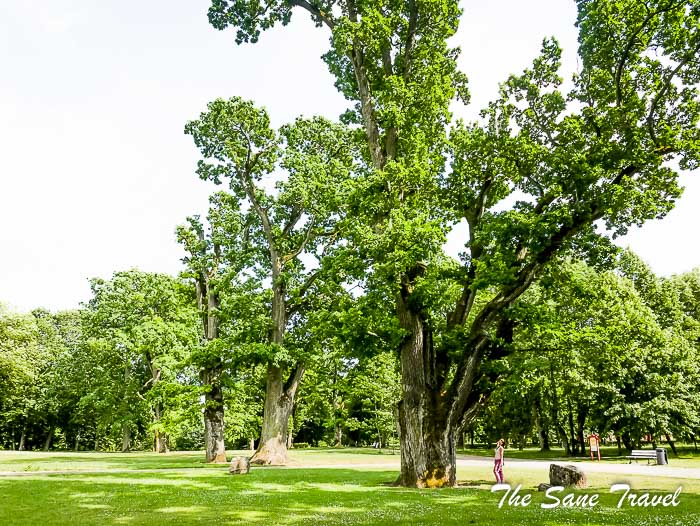 110 kretinga manur museum thesanetravel.com P2040374