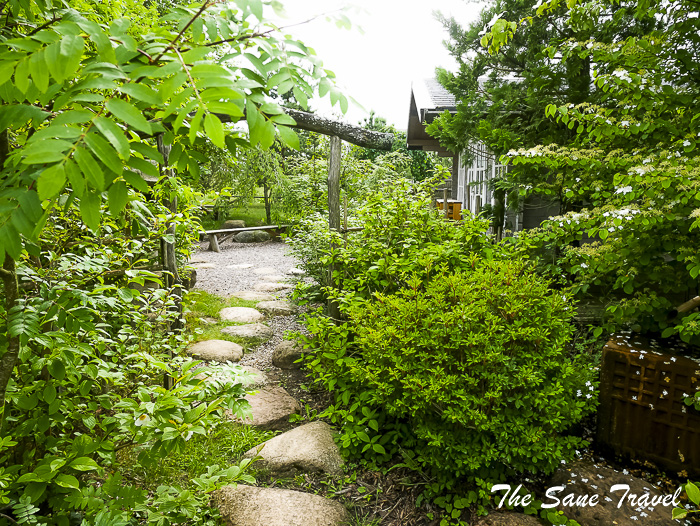 12 japanese gardenlithuania thesanetravel.com P2040881