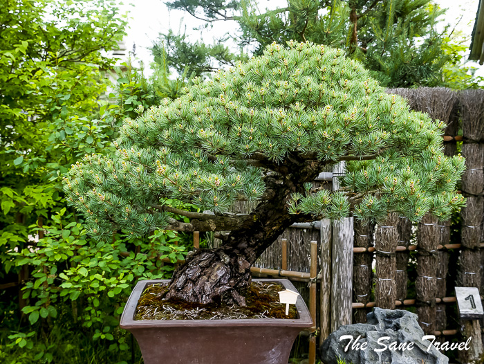 22 japanese gardenlithuania thesanetravel.com P2040877