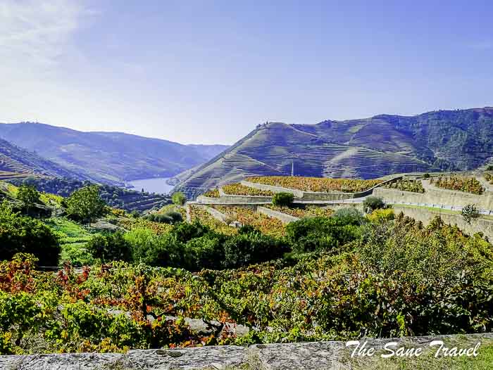 43 alto douro wine region portugal thesanetravel.com P1860024