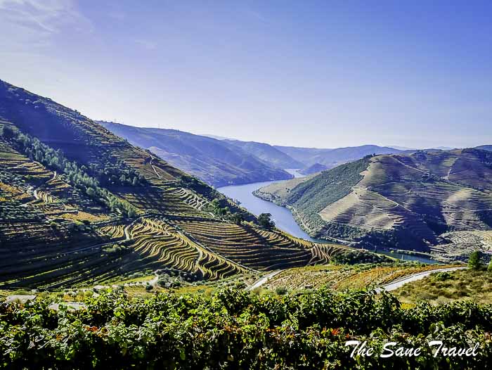 44 alto douro wine region portugal thesanetravel.com P1860032