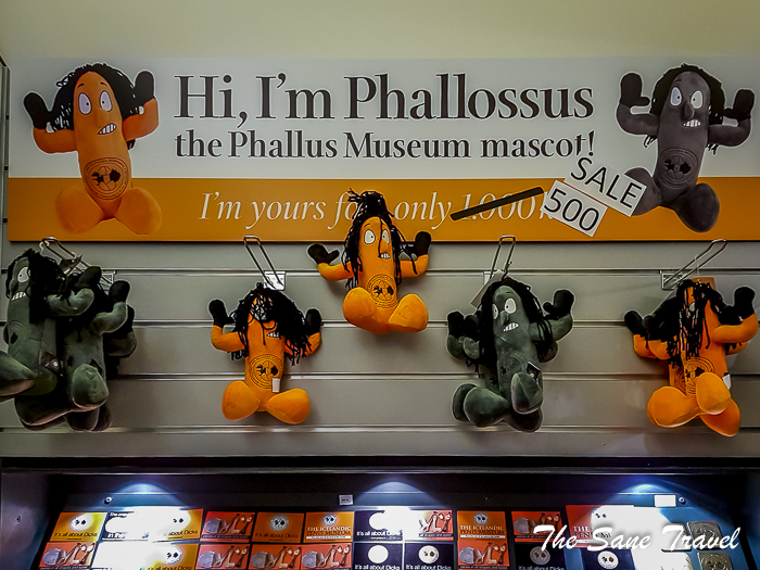 111 things reykjavik thesanetravel.com 165147