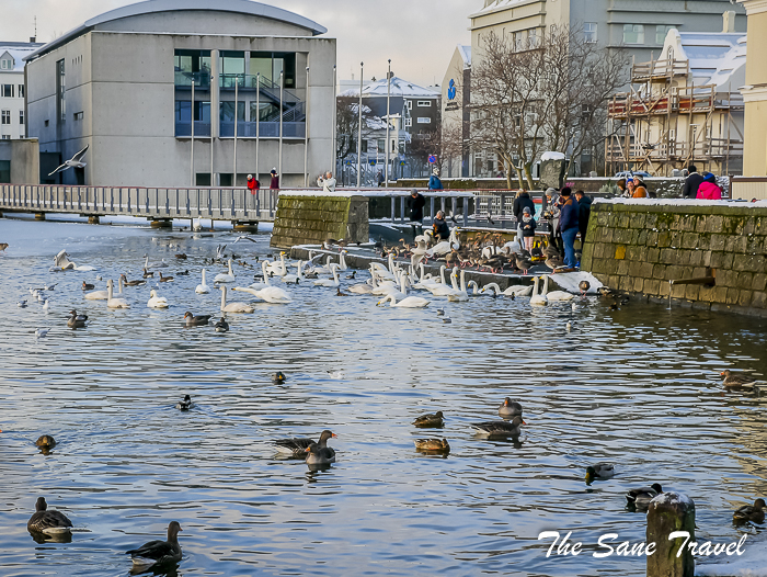 40 things reykjavik thesanetravel.com 1350597