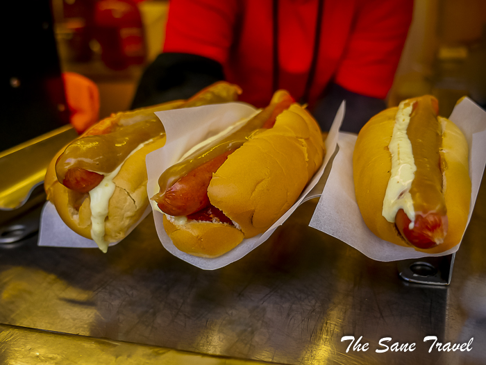 51 things reykjavik thesanetravel.com 1350671