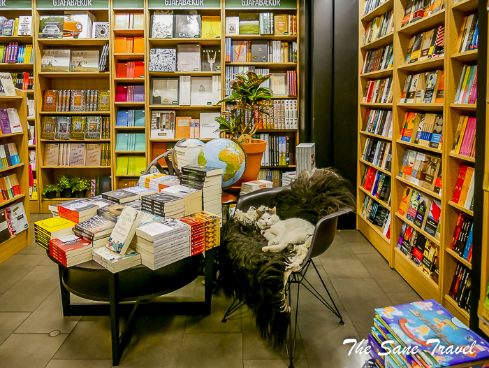 70 things reykjavik thesanetravel.com 1360133