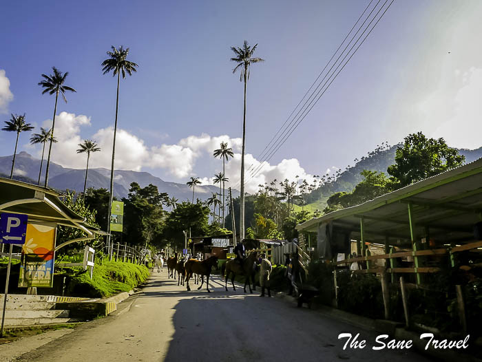 12 salento thesanetravel.com P1900884