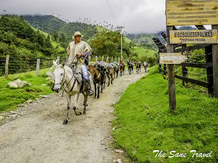 15 salento thesanetravel.com P1900998