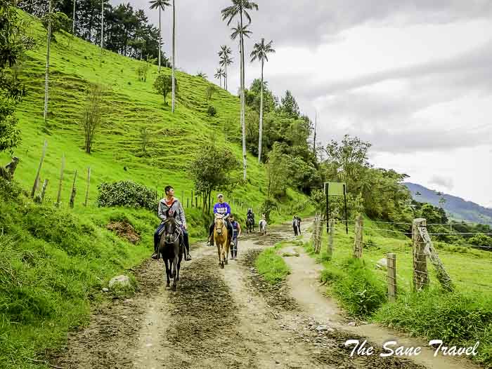 15 salento thesanetravel.com P1910006