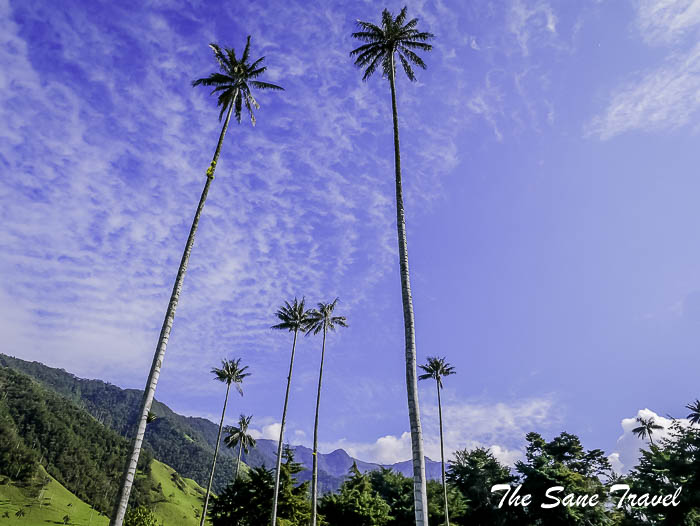 16 salento thesanetravel.com P1900895