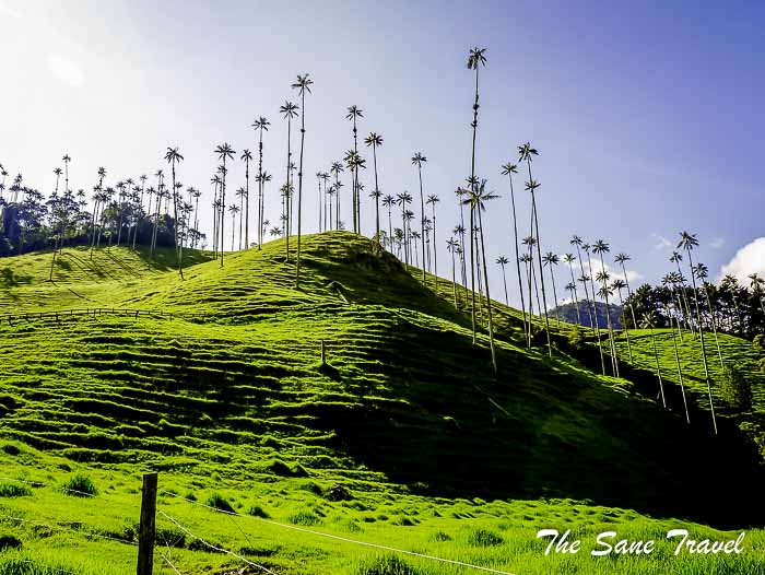 19 salento thesanetravel.com P1900928