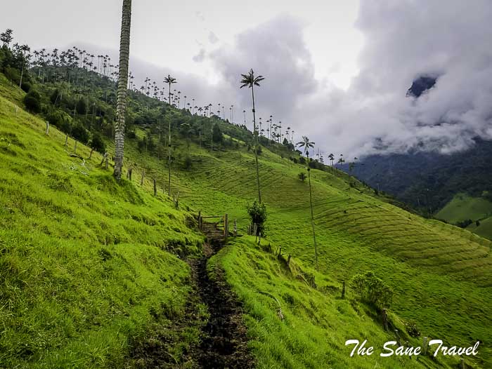 24 salento thesanetravel.com P1900976