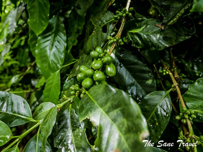 31 salento thesanetravel.com P1910094